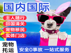 武宿机场托运国际宠物托运 【国